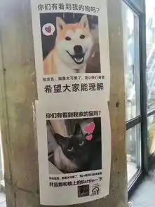  节操睡了一场真实的表情包战争,最终的胜利者是...