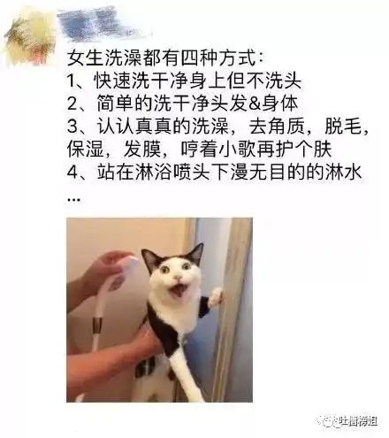  给相亲对象发了个表情包,结果快笑死我了哈哈哈哈哈