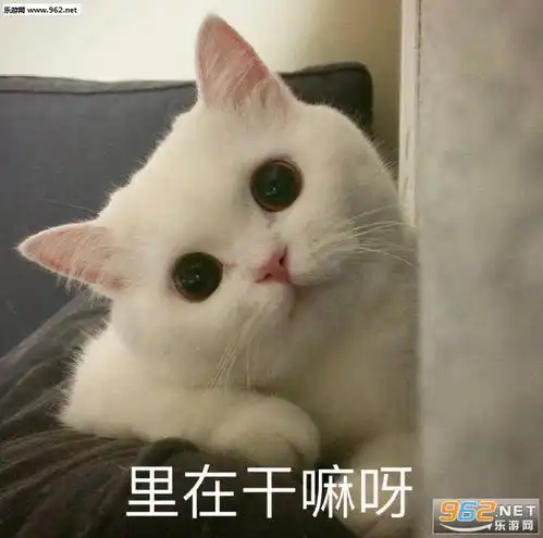  别说话开口容易暴露智商表情包早点休息吧很夜了表情包下载乐游网游戏下载