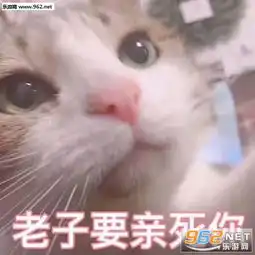  突然害羞表情包你这样就不可爱了表情包图片下载乐游网游戏下载