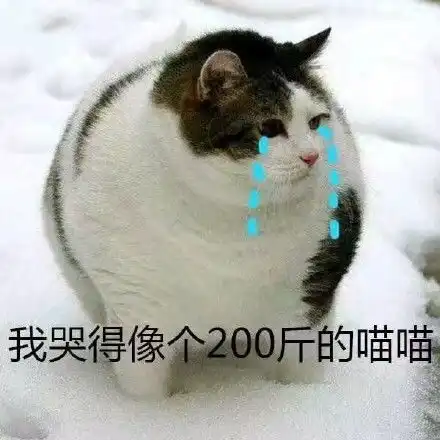 吃惊的表情包文案憨憨