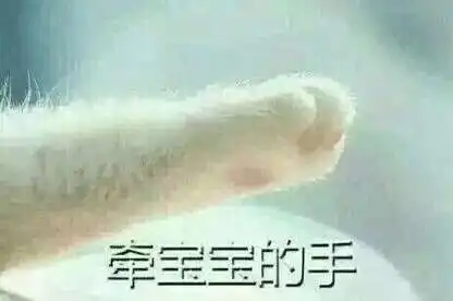 宝贝贴贴表情包林池