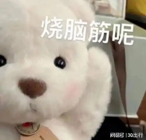  火爆的共享电单车为何被多地叫停