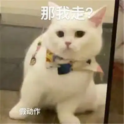 说走咱就走表情包表情包