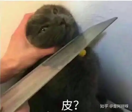  女生腿长是什么样的体验