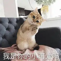  ailey子雾啊