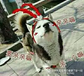  天策狗表情包