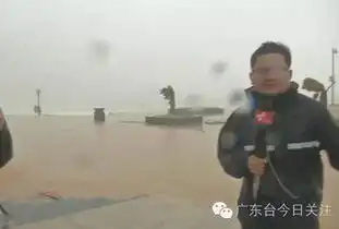 撒野表情包台风