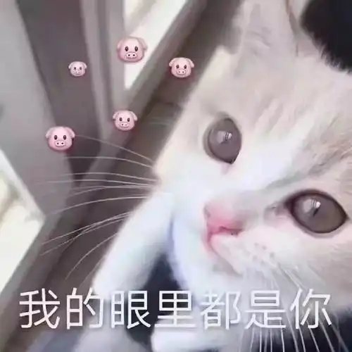  约客013让我们来一次火星撞地球吧