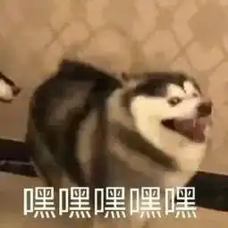  双十一留学生海外省钱指南
