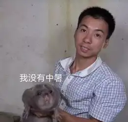  华农兄弟为什么可以靠吃一夜走红