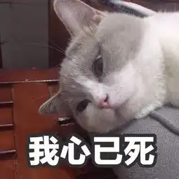  父母团聚移民开放政策问答