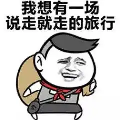  斗图表情包搞笑图片来场说走就走的旅行表情包无水印版极光下载站