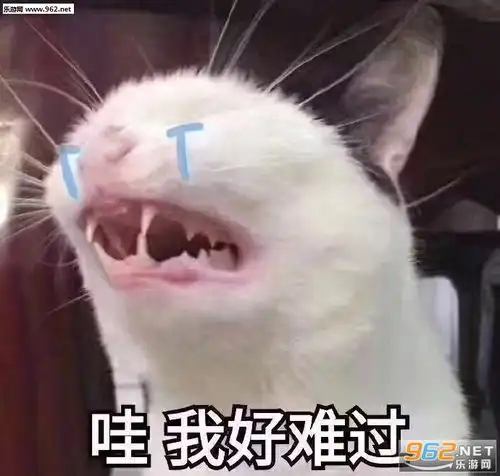  你懂我的意思吧什么梗表情包图片我原本可以过得很快乐是没钱害了我表情包图片下载乐游网游戏下载