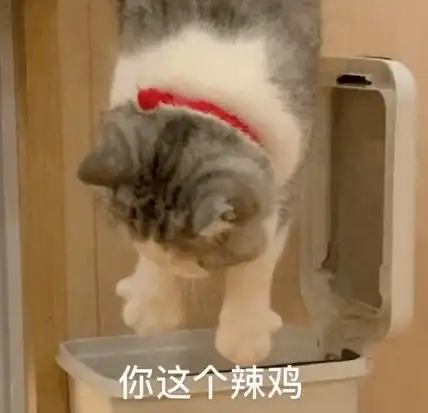  拖地猫听说我的表情包火了