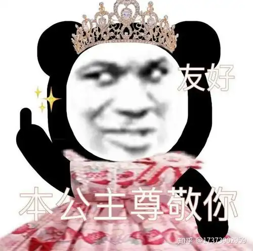  表情包大全公主熊猫头表情包