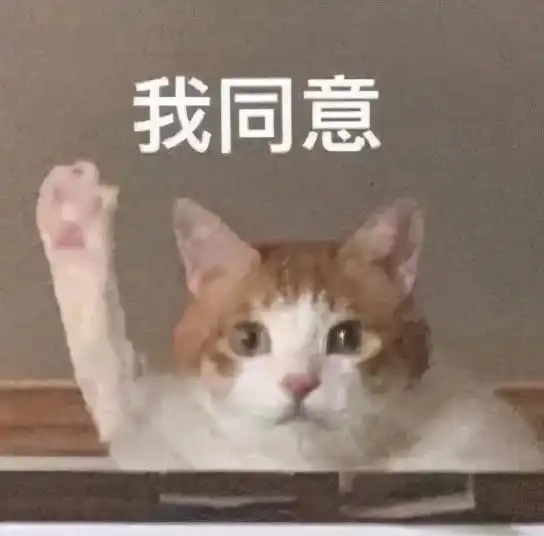  今日表情包2.24