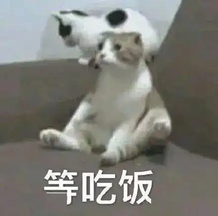 金馆长表情包手机下载狗