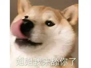  明日方舟运营有多奇葩大夏天里穿棉袄,夏天过完出夏活