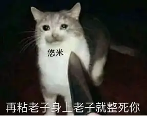  英雄联盟新英雄魔法猫咪一无是处那你是不会这3大关键操作
