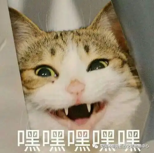  今天是个好日子