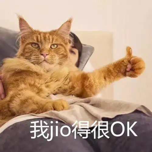  给你发来了一组喵咪表情包,快码