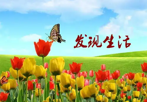 一个不用节食就能高效瘦小腹的方法知乎