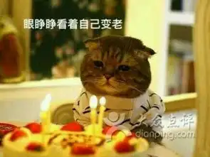  天保驾校河西分校草场门报名点课程价格简介怎么样南京学习培训