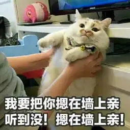  撩妹撩汉表情包合集