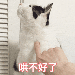  长得可爱就是麻烦丨第312期喵表情包