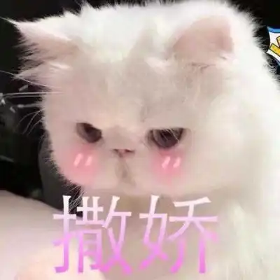 撒娇拜托求人表情包