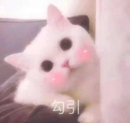  情侣撒娇撩人表情包你的江湖多远我都来