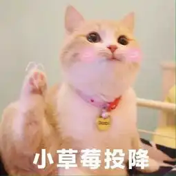  霸道秦王爱上我,又甜又宠的芸汐传简直有毒