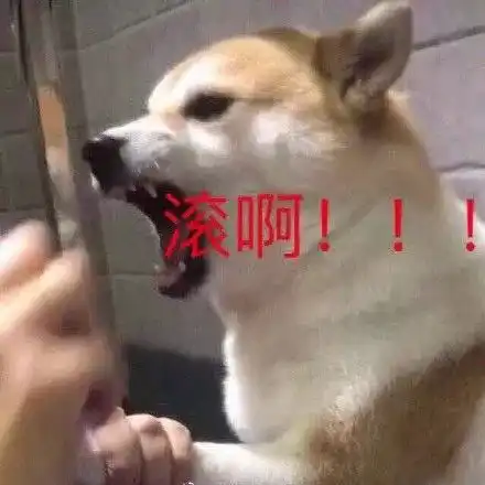  呵呵,有点意思