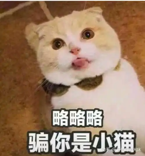 早啊表情包可爱表情