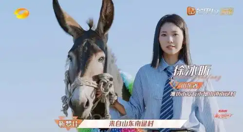  汪涵露出白胡子姚晨变成表情包,芒果台击碎乡村女性的刻板印象