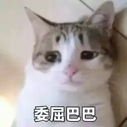  崩溃我妈说我微信头像涉黄,还要和我断绝关系......