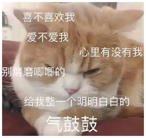  十条笑话我这算不算在剃度呢