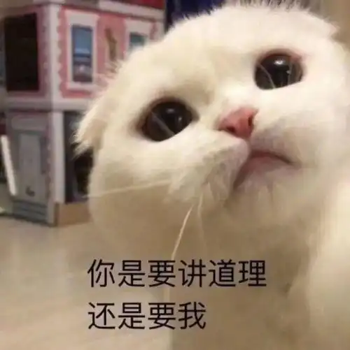  沙雕表情你能出来给我磕个头