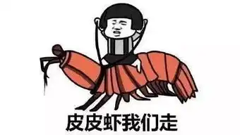  时闻2017年十大网络流行语