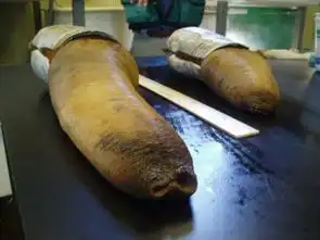  让人又爱又恨的黑暗食物你都敢尝尝么