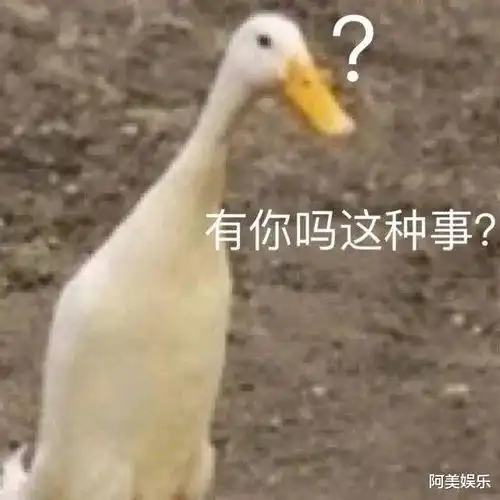  贾乃亮被曝大瓜,李小璐也牵扯进去了
