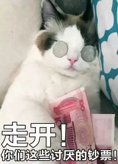 下面是一项小测试,超过20项就是一名资深猫奴了哦