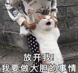  南方姑娘和北方姑娘有什么不同