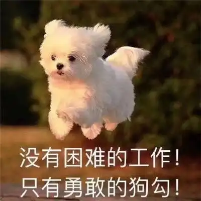  早安打工人表情包大全打工人表情包大全分享