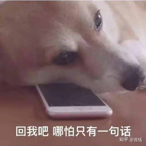  为什么许多人甘愿当舔狗,包括我自己