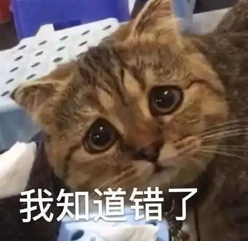  雨神自曝隐瞒婚史出轨患抑郁症,现官宣退网