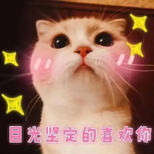  追星女孩想说的话