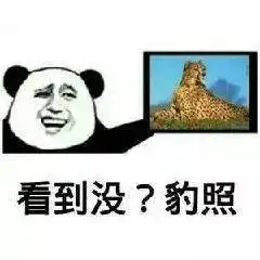  熊猫头表情包i你已经凉了兄弟