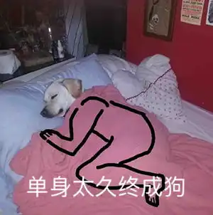  90后专用微信聊天斗图表情包大全不能错过的斗图表情